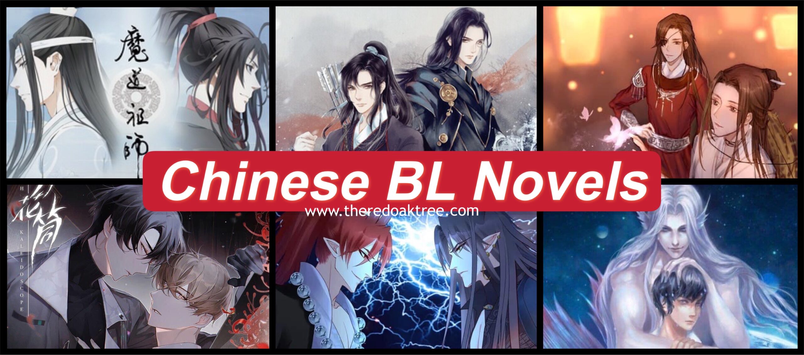 Chinese BL Novels