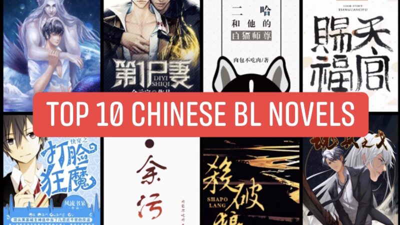 Top 10 Chinese BL Novels Masterpieces